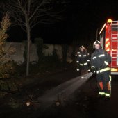 Kerstboombranden Noordwijk